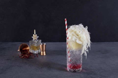 Mercure Sydney - New Castle Holiday 37