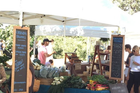 Right On Bondi - New Castle Holiday 12