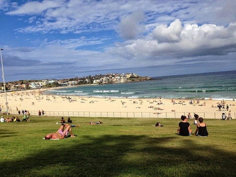 Right On Bondi - New Castle Holiday 16