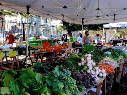 Right On Bondi - New Castle Holiday 14