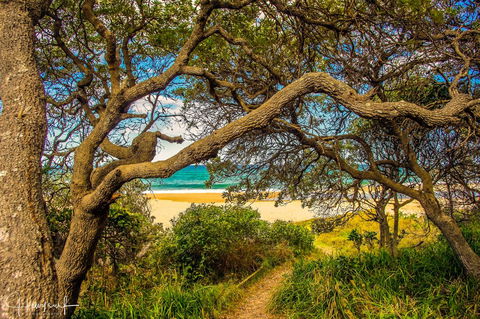 Valla's Beach House - New Castle Holiday 2