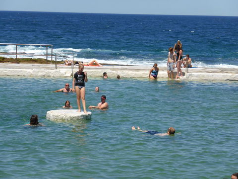 Arena Luxury Beachfront Apartment - New Castle Holiday 33