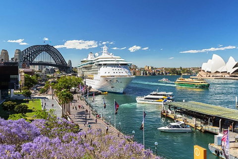 Sydney CBD Brand New Apartments With Hyde Park View - New Castle Holiday 22