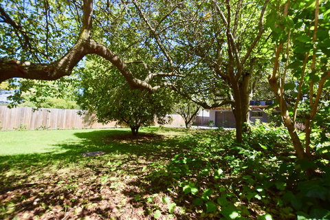 Wildlife Lodge Katoomba - New Castle Holiday 26