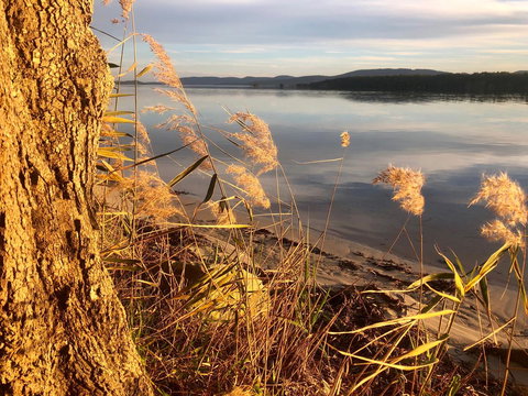 Lakeview Cottage - New Castle Holiday 14