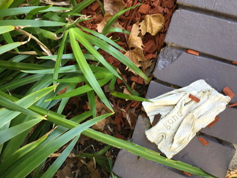 Quest St Leonards - New Castle Holiday 22