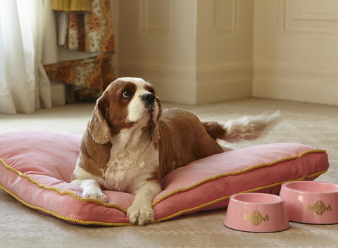 The Langham Sydney - New Castle Holiday 23