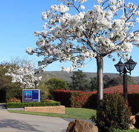 Hume Country Motor Inn - New Castle Holiday
