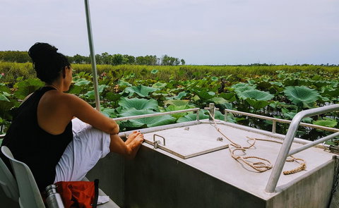 Wildman Wilderness Lodge - New Castle Holiday 26