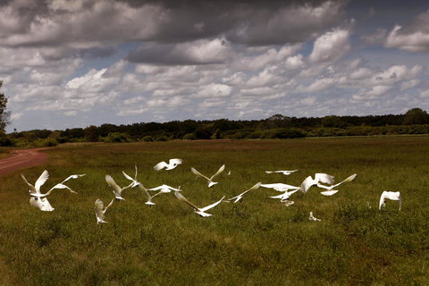 Wildman Wilderness Lodge - New Castle Holiday 20