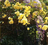 Bowral Road Bed and Breakfast - New Castle Holiday