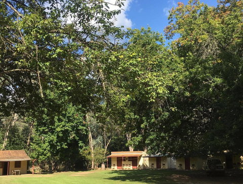 Bright Cabin Park - New Castle Holiday 1