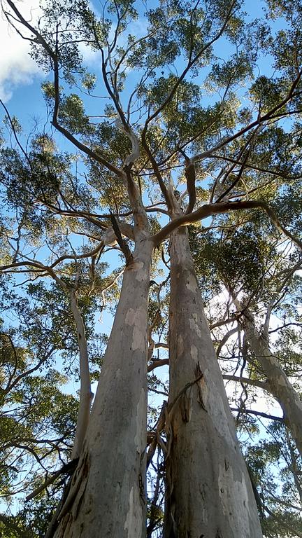 Broxholme B&B - New Castle Holiday 3