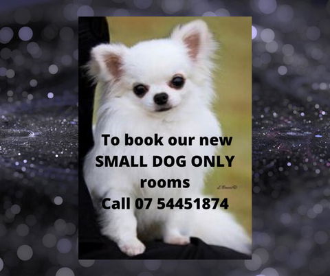 Buderim Fiesta Motel - New Castle Holiday 0