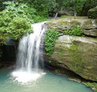 Buderim Forest Hideaway - New Castle Holiday