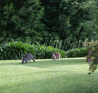 Bundanoon 2578 - New Castle Holiday