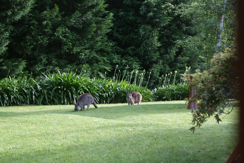 Bundanoon @2578 - New Castle Holiday 0