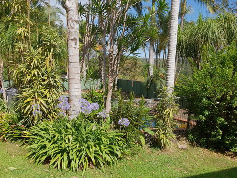 Byron Hinterland Hideaway - New Castle Holiday 0