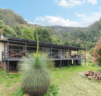 Cabbage Tree Farm - Seclusion and tranquillity - New Castle Holiday