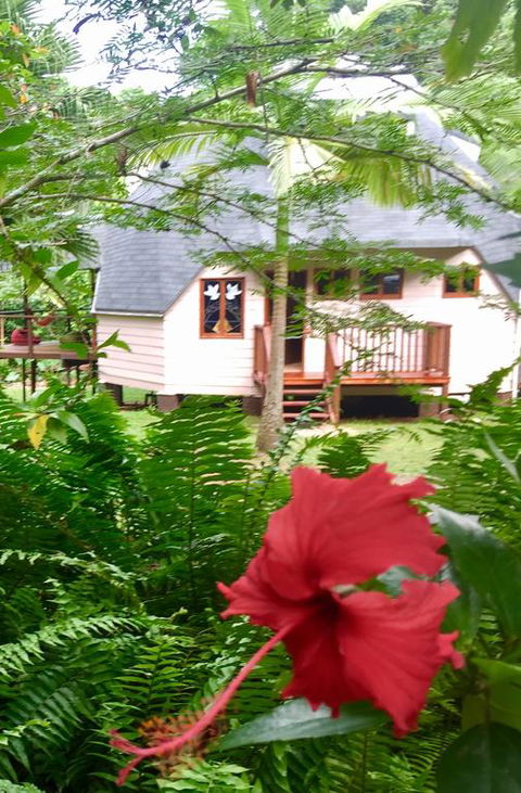 Cape Tribulation Holiday House - New Castle Holiday 3