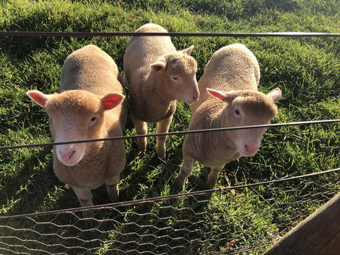 Cape View B And B - New Castle Holiday 3