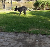 Captain's Cottage Bed  Breakfast - New Castle Holiday