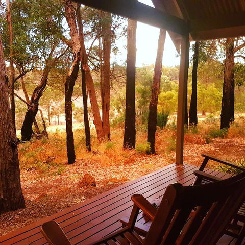 Chandeliers On Abbey - New Castle Holiday 3
