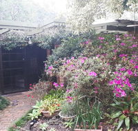 Charming country house close to Grafton - New Castle Holiday