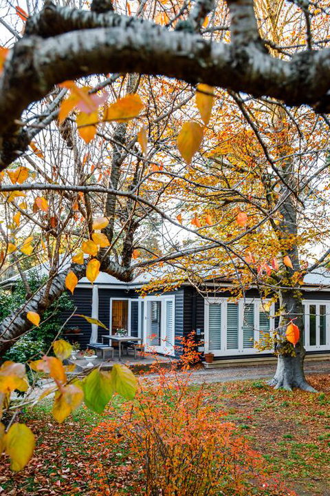 Charming Mountain Cottage - New Castle Holiday 3