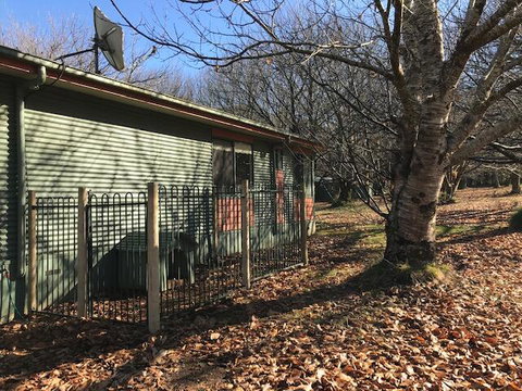 Chestnut Glade - New Castle Holiday 1