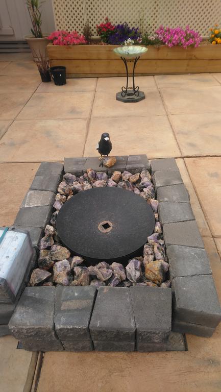 Chrissie's Dongara - New Castle Holiday 1