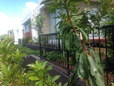 City Pads 2 - New Castle Holiday 0