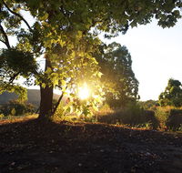 Clarendon Forest Retreat - New Castle Holiday