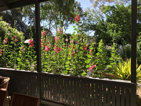 Clarevale Cottage B&B - New Castle Holiday 1