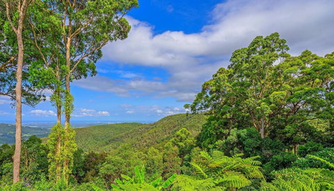 CLOUD 9 - Cliff Top Eagle Heights - New Castle Holiday 3