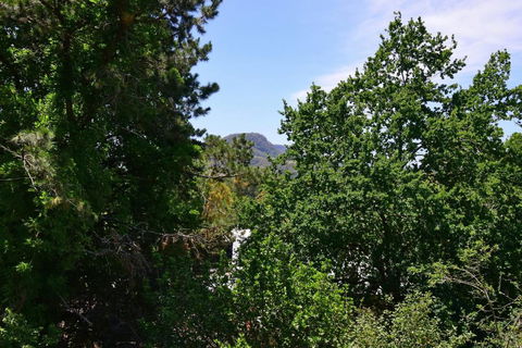Cloudsong Chalet 4 - Close To The Village Centre! - New Castle Holiday 3