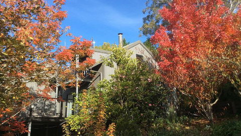 Cloudsong Chalet 4 - Close To The Village Centre! - New Castle Holiday 0