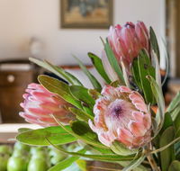 Cooee Cottage - New Castle Holiday