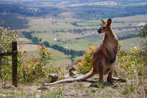 Corroboree Spa Cabin- Eaglereach - New Castle Holiday 1