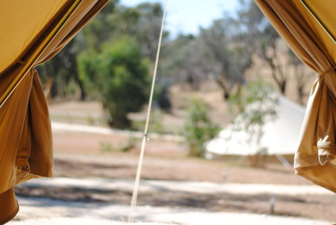 Cosy Tents - Daylesford - New Castle Holiday 1