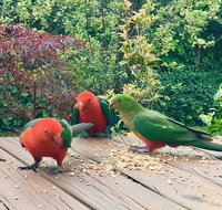 Crimson Villa - New Castle Holiday