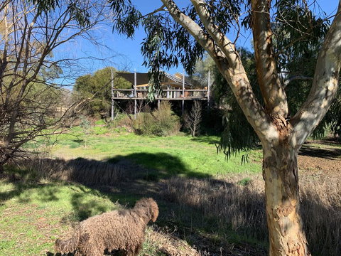 Cullen House - New Castle Holiday 1