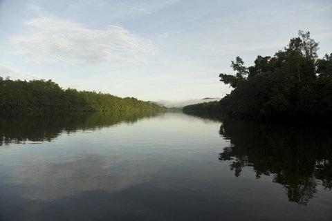 Daintree Village Hideaway - New Castle Holiday 2
