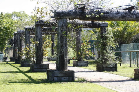 Daintree Wild Bed & Breakfast - New Castle Holiday 2