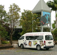 Daintree Wild Bed  Breakfast - New Castle Holiday