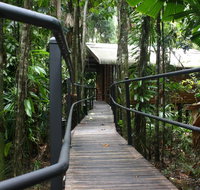 Daintree Wilderness Lodge - New Castle Holiday