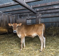 Dairyman's Cottage - New Castle Holiday