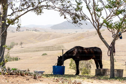 Dam It Getaway Tiny House - New Castle Holiday 1