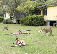 Depot Beach Cabins - New Castle Holiday
