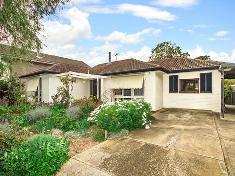 Eden On Eden - New Castle Holiday 2